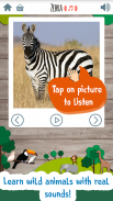 Kids Zoo Game: Educational games for toddlers screenshot 5