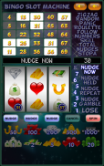 Bingo Slot Machine. screenshot 6