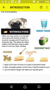 How to Stop Vomiting in Dogs screenshot 0