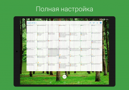календарь DigiCal screenshot 14