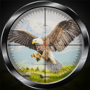 Bird Hunting Simulator 2022 Icon