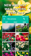 Compartir fotos: 4K HD wallpapers screenshot 0