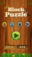 Block Puzzle 4 in 1 - Free Classic Brain Games screenshot 5