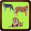 Wild Animals - Learning Animals - test - sound