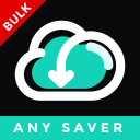 AnySaver - Safe, Fast and No Ads Icon