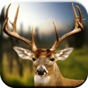 Deer Hunting Calls Soundboard