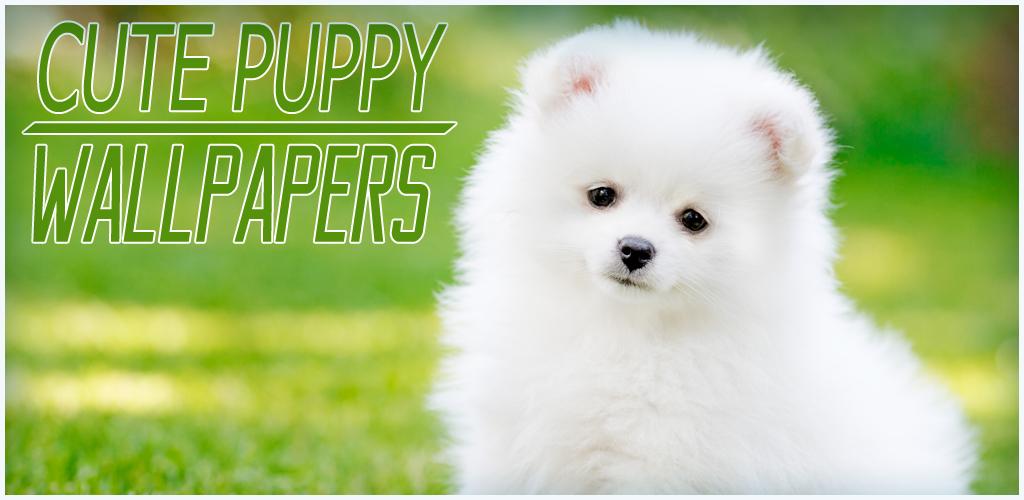 Cartoon Cute Puppy Wallpaper For Babies Background Cute Picture To Print  Out Background Image And Wallpaper for Free Download