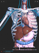 Visual Anatomy 3D screenshot 0