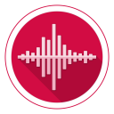 Voice Recorder Icon