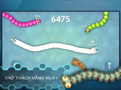 Snake.io - Trò io rắn vui nhộn screenshot 5