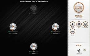 AirPlay Multiroom by WHAALE screenshot 5