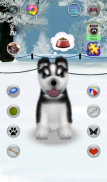 Falando Husky screenshot 5