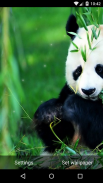 Panda Live Wallpaper HD screenshot 1