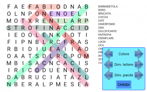 Puzzle parole intrecciate screenshot 12
