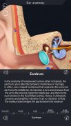 Ear Anatomy Pro. screenshot 8