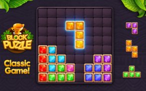 Bloc puzzle Jewel screenshot 15