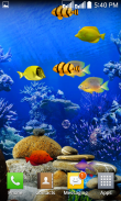 Fishes Live Wallpaper 2020 - Aquarium Koi Bgs screenshot 0