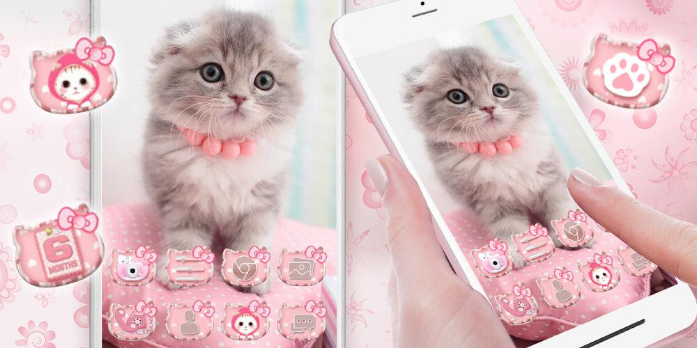 Cute Kitty theme Pink Bow Kitty for Android - Download