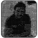 Ascii Photo