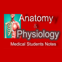 Anatomy and Physiology Notes Icon