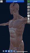 Anatomy 3D screenshot 4