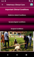 IVRI-VeterinaryClinicalCare Ap screenshot 5