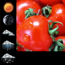 Soft Tomato Clock Widget