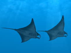 Ocean Dream screenshot 7