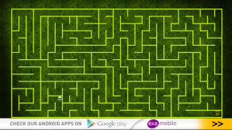 Maze screenshot 4