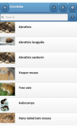 Cricetidae screenshot 0