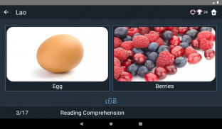 Lao Language Tests screenshot 7