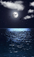 Moonlight HD Wallpapers-Moon Wallpaper Background screenshot 4