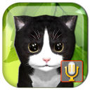 Talking Kittens virtual cat that speaks, take care Icon