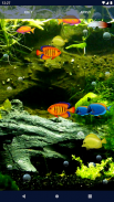 Aquarium Fish Live Wallpaper screenshot 5
