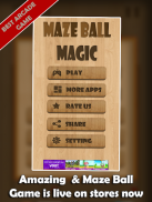 Maze Ball Magic screenshot 1