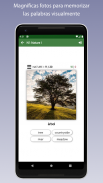 Aprender Vocabulario Inglés screenshot 12