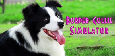 Border Collie Simulator