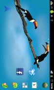 Birds Live wallpaper screenshot 1