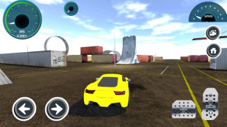 Driver Simulator 3D - Stunt screenshot 1