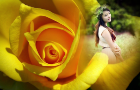 Macro Rose Photo Frame screenshot 4