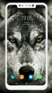 Wolf Wallpaper screenshot 4