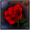 3D Rose Bouquet LWP Free