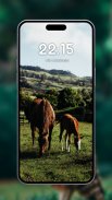 Horse wallpapers screenshot 2