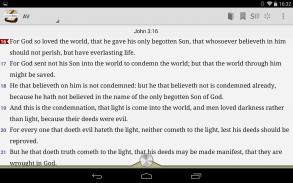 Online Bible screenshot 8