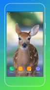 Deer Wallpapers screenshot 6