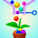 Flower King: Collect and Grow Icon