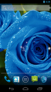 Blue Rose Live Wallpaper screenshot 6