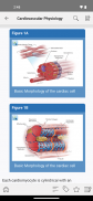 STS Cardiothoracic Surgery screenshot 11