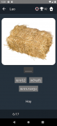 Lao Language Tests screenshot 4
