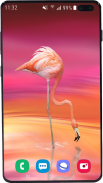 Flamingo Wallpaper HD screenshot 1